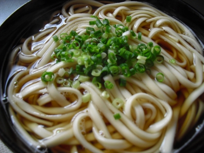 小ねぎたっぷり　煮込みうどん