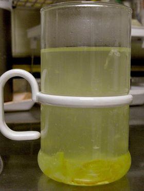 生姜と酢でぽかぽか温まる ゆずりんご酢ドリンク レシピ 作り方 By Mickey The Mouse 楽天レシピ