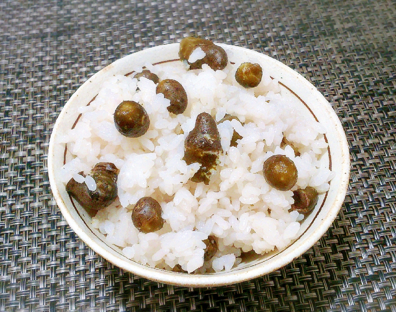 茶碗に盛り付けたむかごごはん