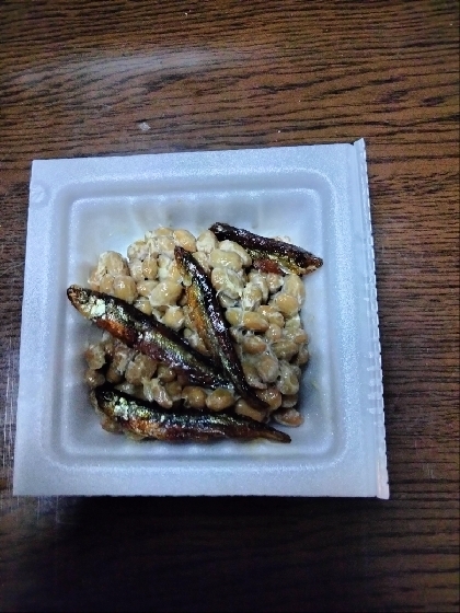 小魚納豆お粥