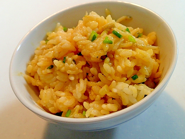 麺つゆで　卵黄と釜揚げシラスと葱の混ぜごはん