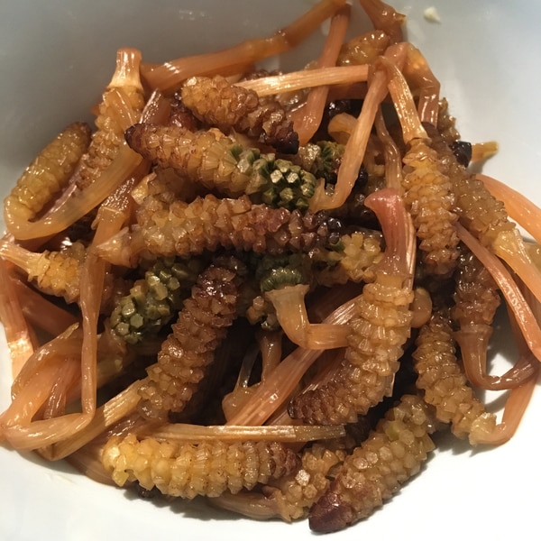 季節の味 ほろ苦さがおいしいつくしの佃煮 レシピ 作り方 By りし 楽天レシピ 季節の味 ほろ苦さがおいしいつくしの佃煮 レシピ 作り方 By りし 楽天レシピ