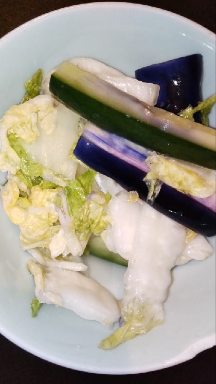 ★１時間で食べられる♡時短 白菜漬け★