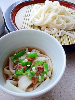 サッパリ冷たい梅おくらうどん