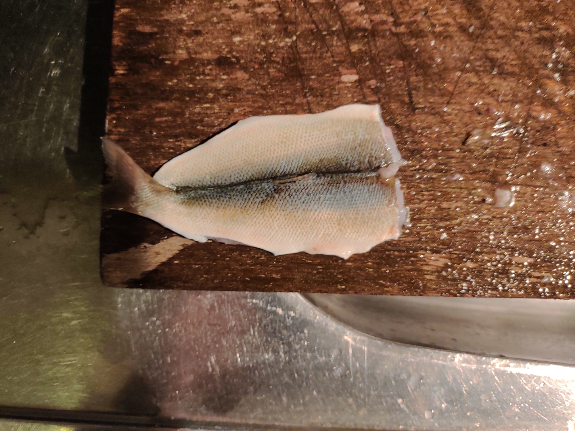 ウグイの開き方 レシピ 作り方 By 応援屋 楽天レシピ ウグイの開き方 レシピ 作り方 By 応援屋 楽天レシピ