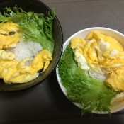 親子クッキング チーズ入マルシンハンバーグ玉子丼 レシピ 作り方 By Kuuuma 楽天レシピ