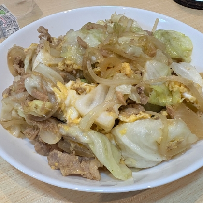 うどんなしの野菜炒めですが、美味しくできました笑