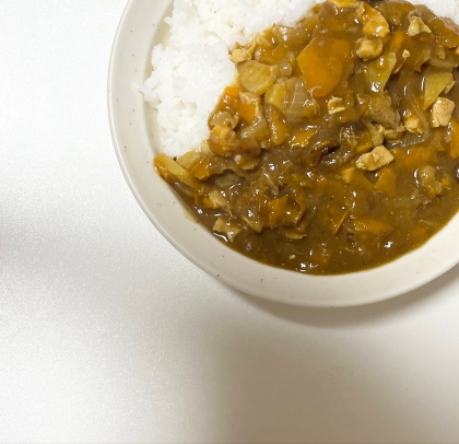 キャンプに☆カレー