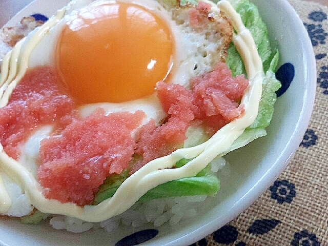 *たらこマヨめだまレタス丼*