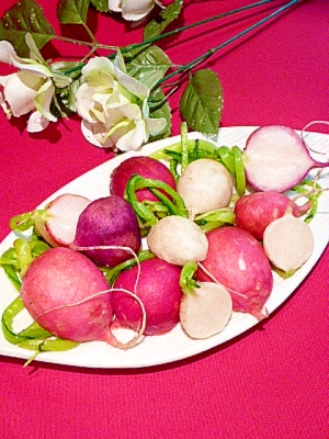 二十日大根の漬物レシピ 作り方の人気順 簡単料理の楽天レシピ