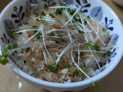 かいわれ大根とおかかとごまのご飯