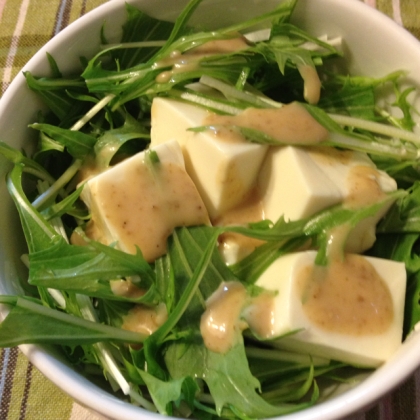 塩糀豆腐と水菜のサラダ