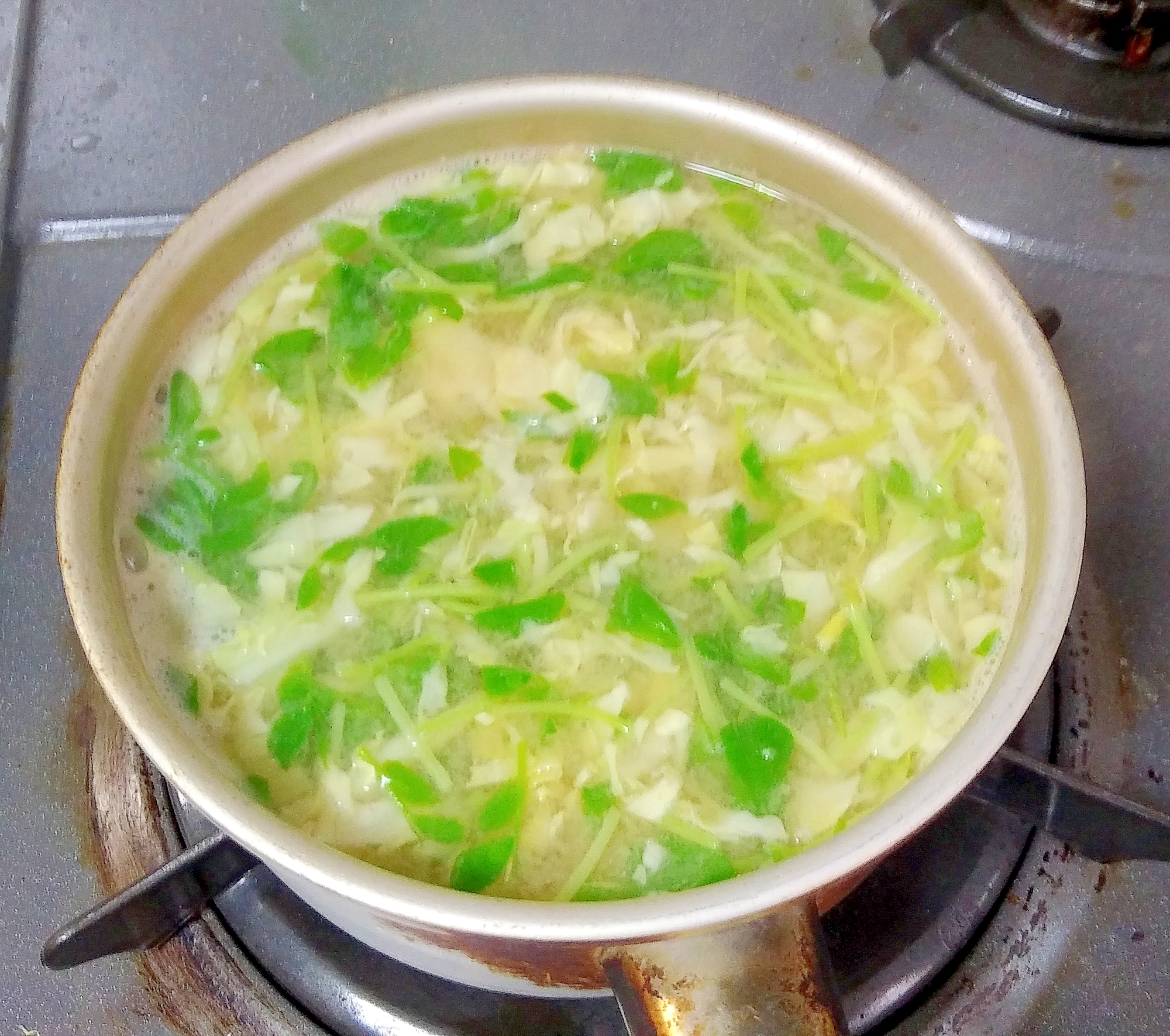 豆苗とキャベツの味噌汁