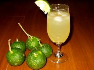 ビタミンｃたっぷりで 風邪予防ジュース レシピ 作り方 By Toujunka 楽天レシピ