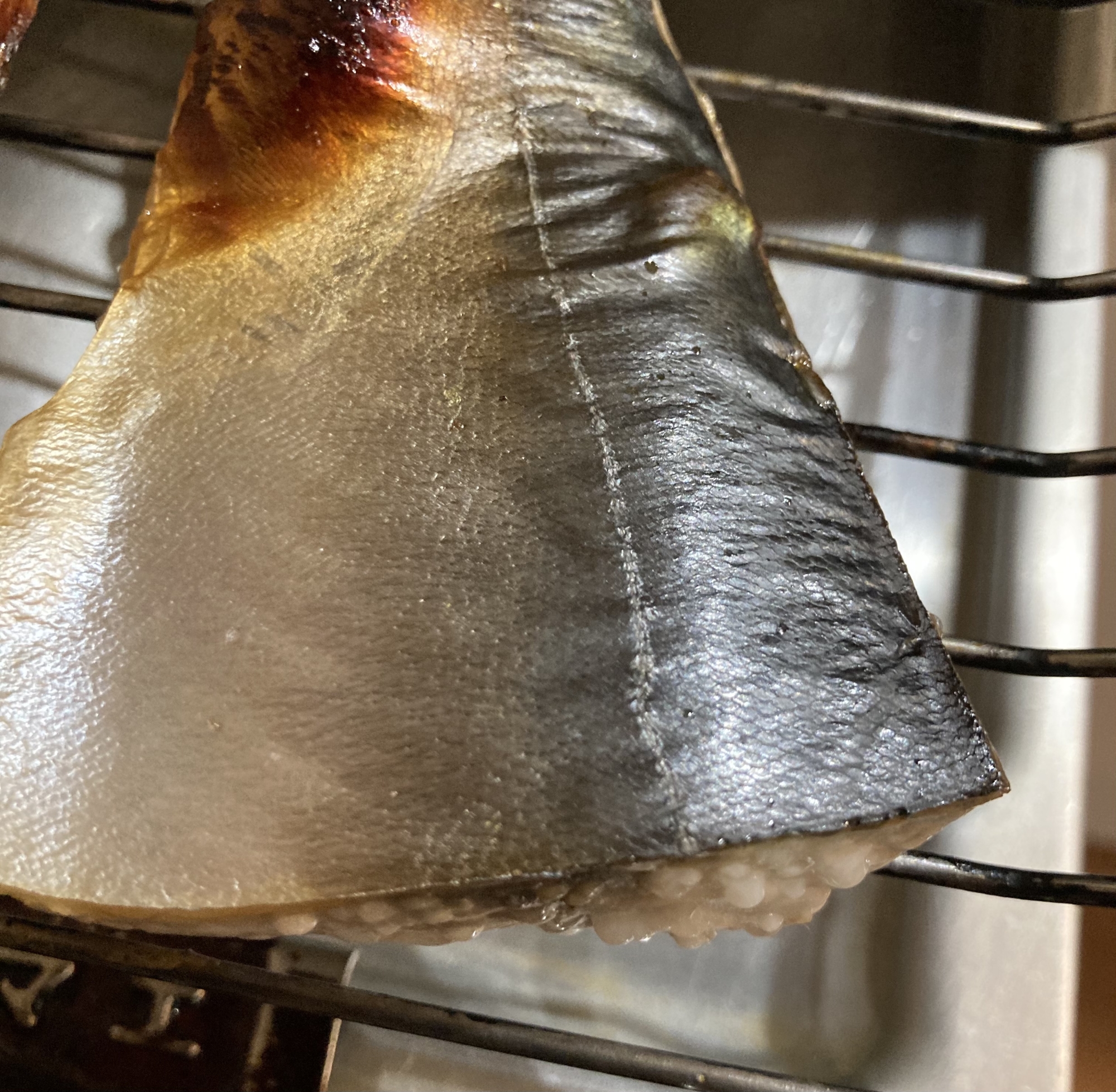 さっぱり煮込み鯖の魚焼きグリルやき