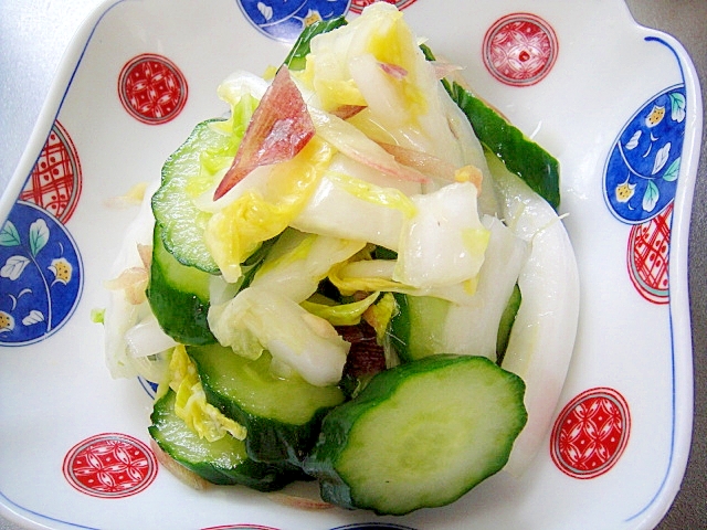 白菜ときゅうりみょうがの浅漬け レシピ 作り方 By Mint74 楽天レシピ 白菜ときゅうりみょうがの浅漬け レシピ 作り方 By Mint74 楽天レシピ