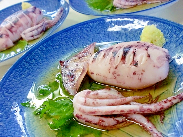 今が旬！ 冷まして食べるスルメイカの姿茹で