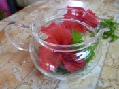 美肌 健康に フレッシュハイビスカス ハーブティー レシピ 作り方 By ペコ4672 楽天レシピ 美肌 健康に フレッシュハイビスカス ハーブティー レシピ 作り方 By ペコ4672 楽天レシピ