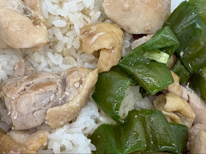 鶏もも肉とピーマンの野菜炒めの弁当