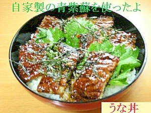 青紫蘇とうなぎの丼