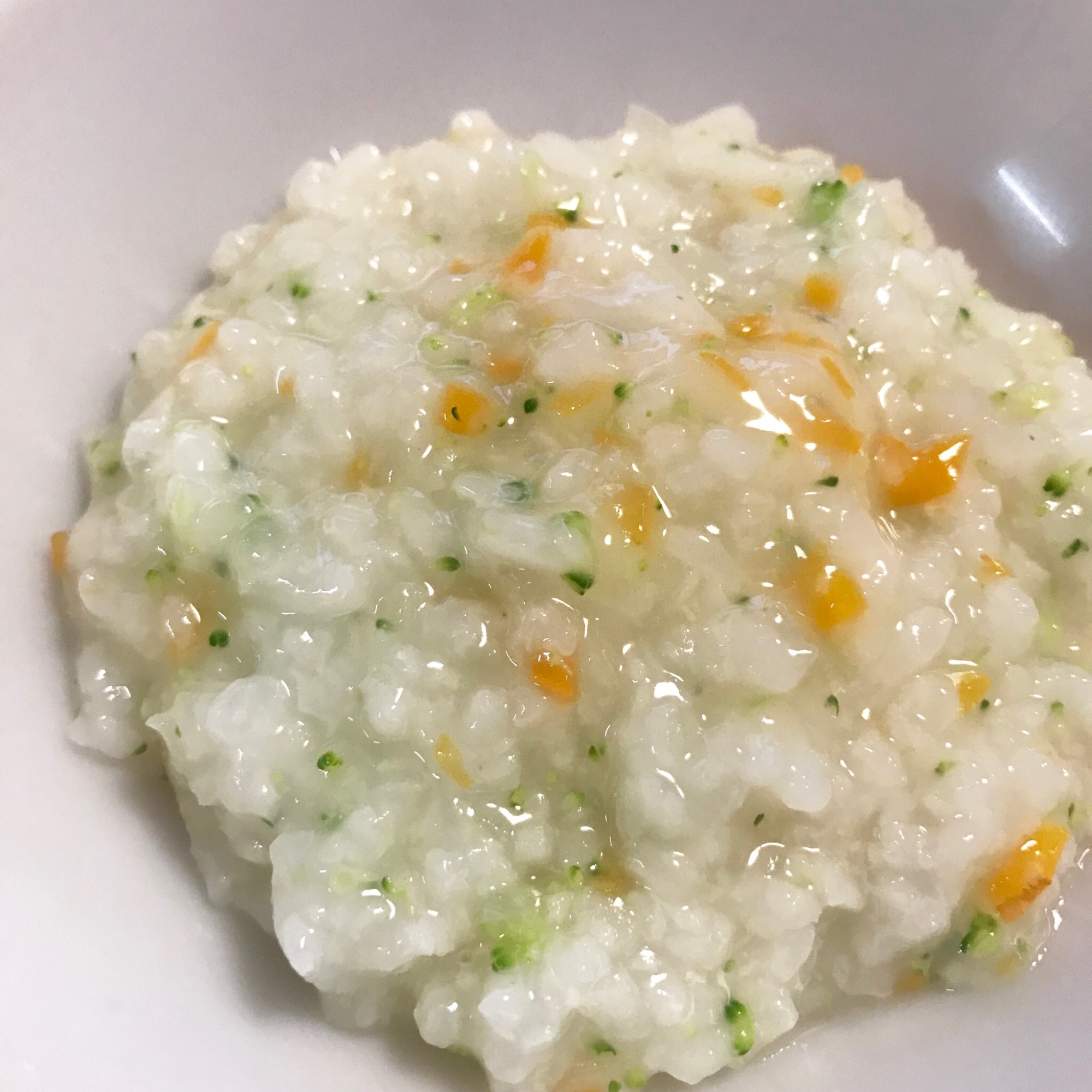 【離乳食】ミックス野菜のおじや