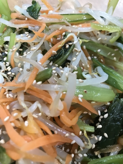栄養たっぷり♡小松菜ともやしとにんじんの3色ナムル