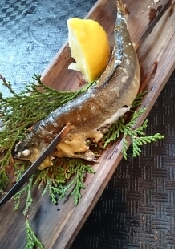 鮎の塩焼き レシピ 作り方 By 所沢とっくん 楽天レシピ