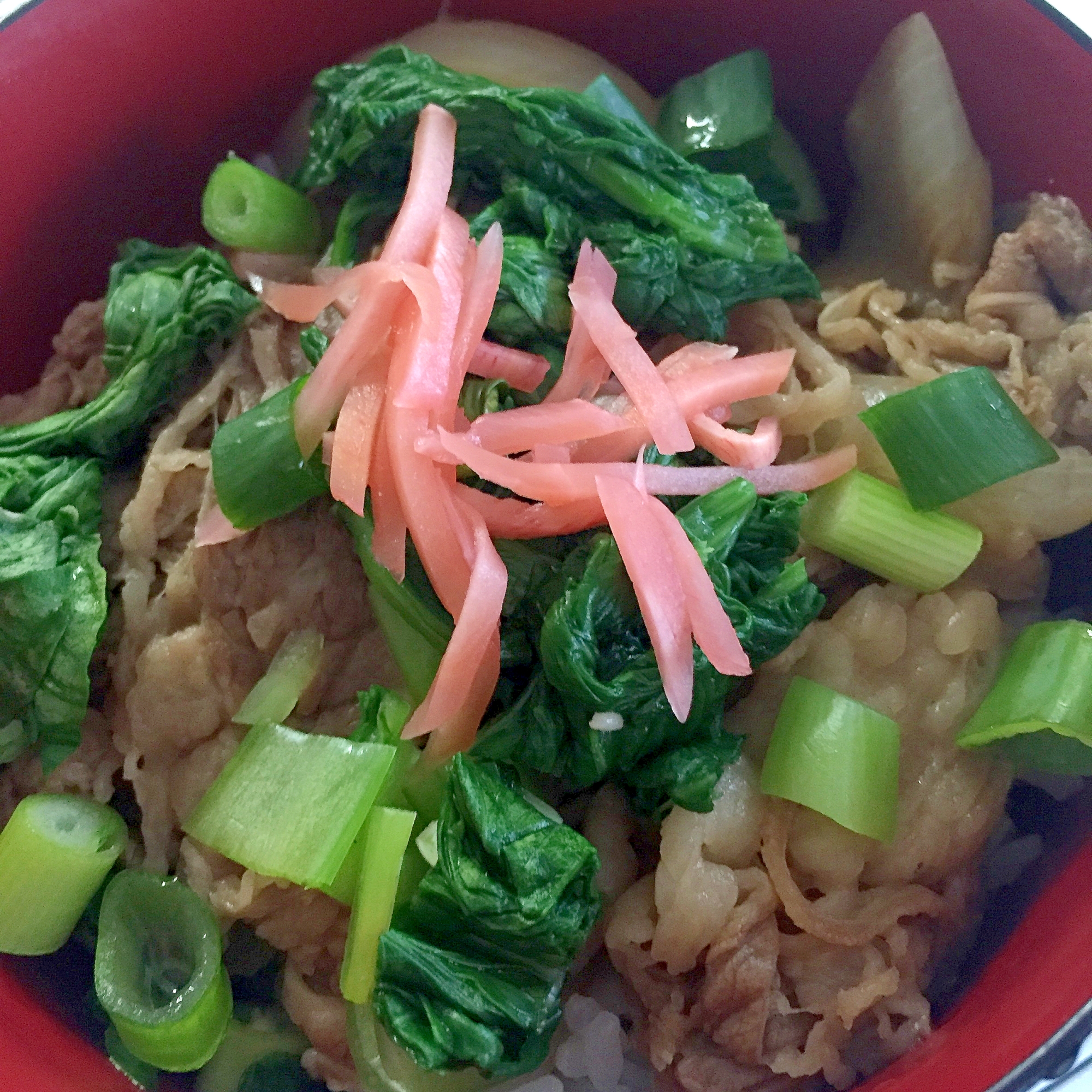 ほうれん草とネギの牛丼☆彡