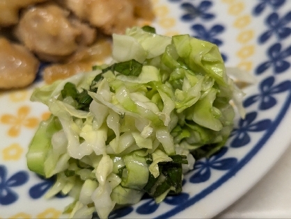 キャベツ☘️大葉の香りの漬物