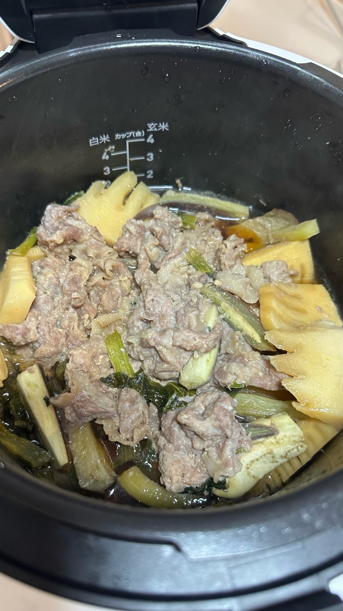 葉酸☆圧力鍋☆タケノコ小松菜ナス豚肉炒め