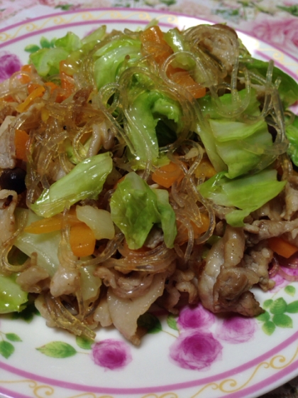 カンボジア風五目野菜と挽き肉の春雨炒め