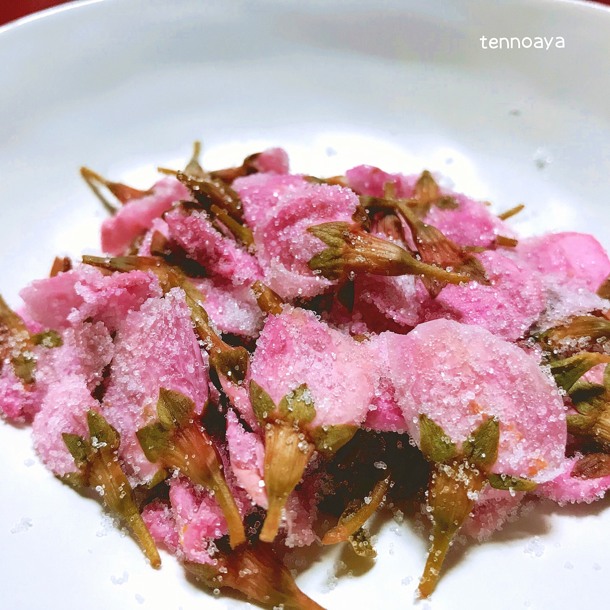 八重桜の花の塩漬け レシピ 作り方 By 天の文 楽天レシピ 八重桜の花の塩漬け レシピ 作り方 By 天の文 楽天レシピ