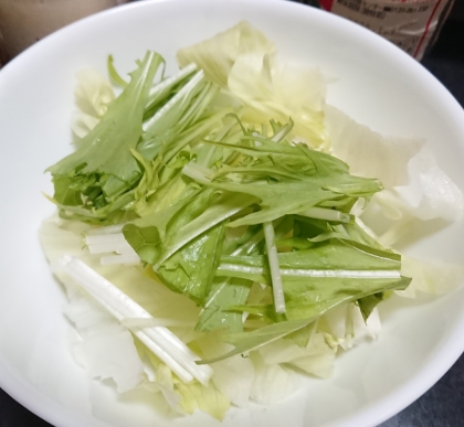 水菜サラダ