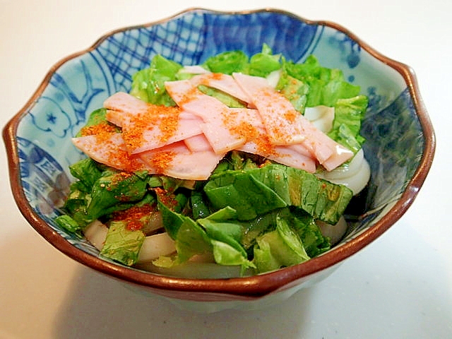 飛魚つゆで　サラダ菜とハムの冷やし半うどん