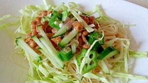 柚子胡椒 たっぷり野菜と納豆のぶっかけそうめん レシピ 作り方 By まの925 楽天レシピ 柚子胡椒 たっぷり野菜と納豆のぶっかけそうめん レシピ 作り方 By まの925 楽天レシピ