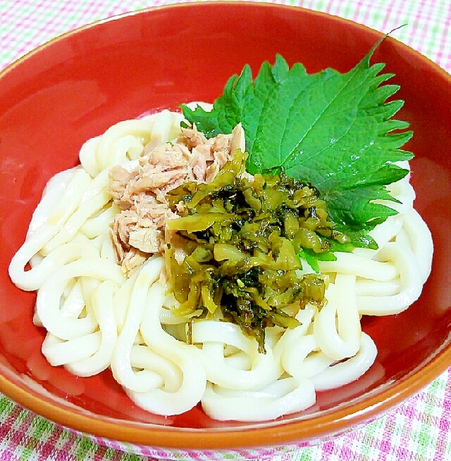 あったかさっぱりツナ高菜うどん