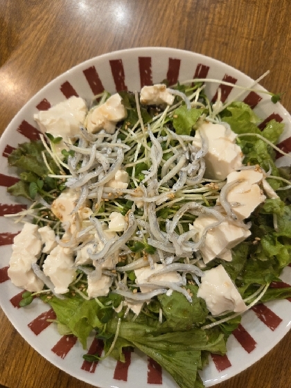 彩鮮やか豆腐のサラダ