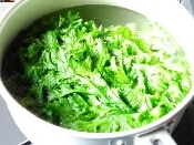 ワサビ菜の保存方法 レシピ 作り方 By 低所得家のごはんの友 楽天レシピ