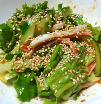 自家製ドレッシングで生野菜