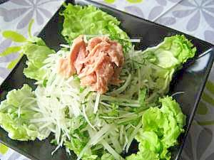 春大根と青じそのシーチキンサラダ