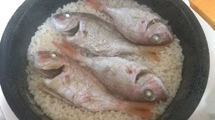 絶品ご飯♡炊飯器でつくる　鯛めし