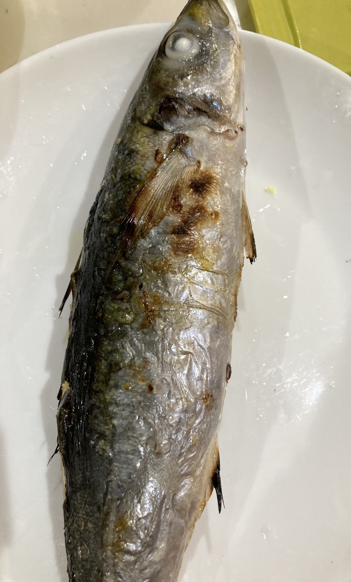 レモン汁がけのムロアジ冷凍焼き レシピ 作り方 By へんてこへんてこママ 楽天レシピ レモン汁がけのムロアジ冷凍焼き レシピ 作り方 By へんてこへんてこママ 楽天レシピ