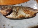 魚焼きグリルでふっくら♪小鯛の塩焼き