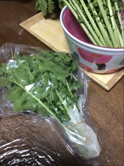 畑から届いた大根の葉です。いつもは食べきれなくて困るけど、これで安心して使えます♪ナイスアイデア有難う〜(^^)v