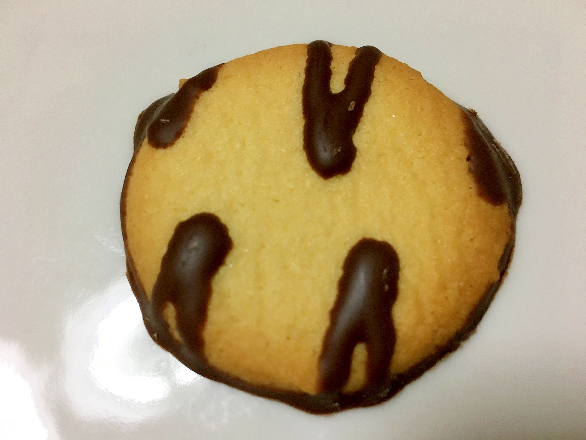チョコがけココナッツ風味のクッキー