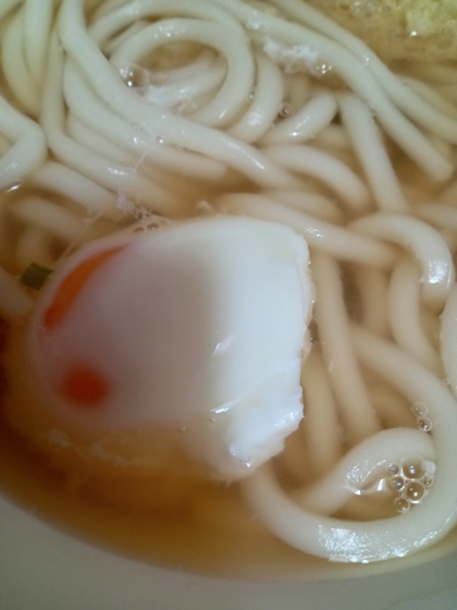 うどん♪（悩み多き、おうどん♪）