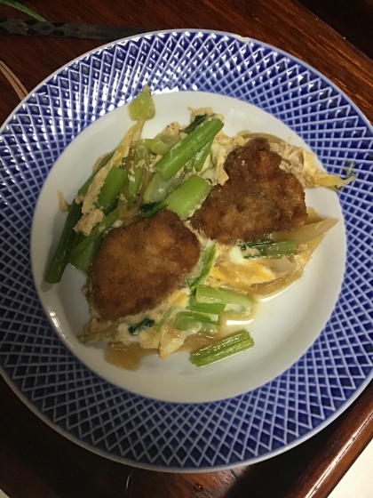 小松菜と玉葱のカツ煮