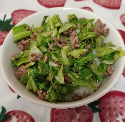 キャベツ食べきり、大豆ミートのそぼろ丼