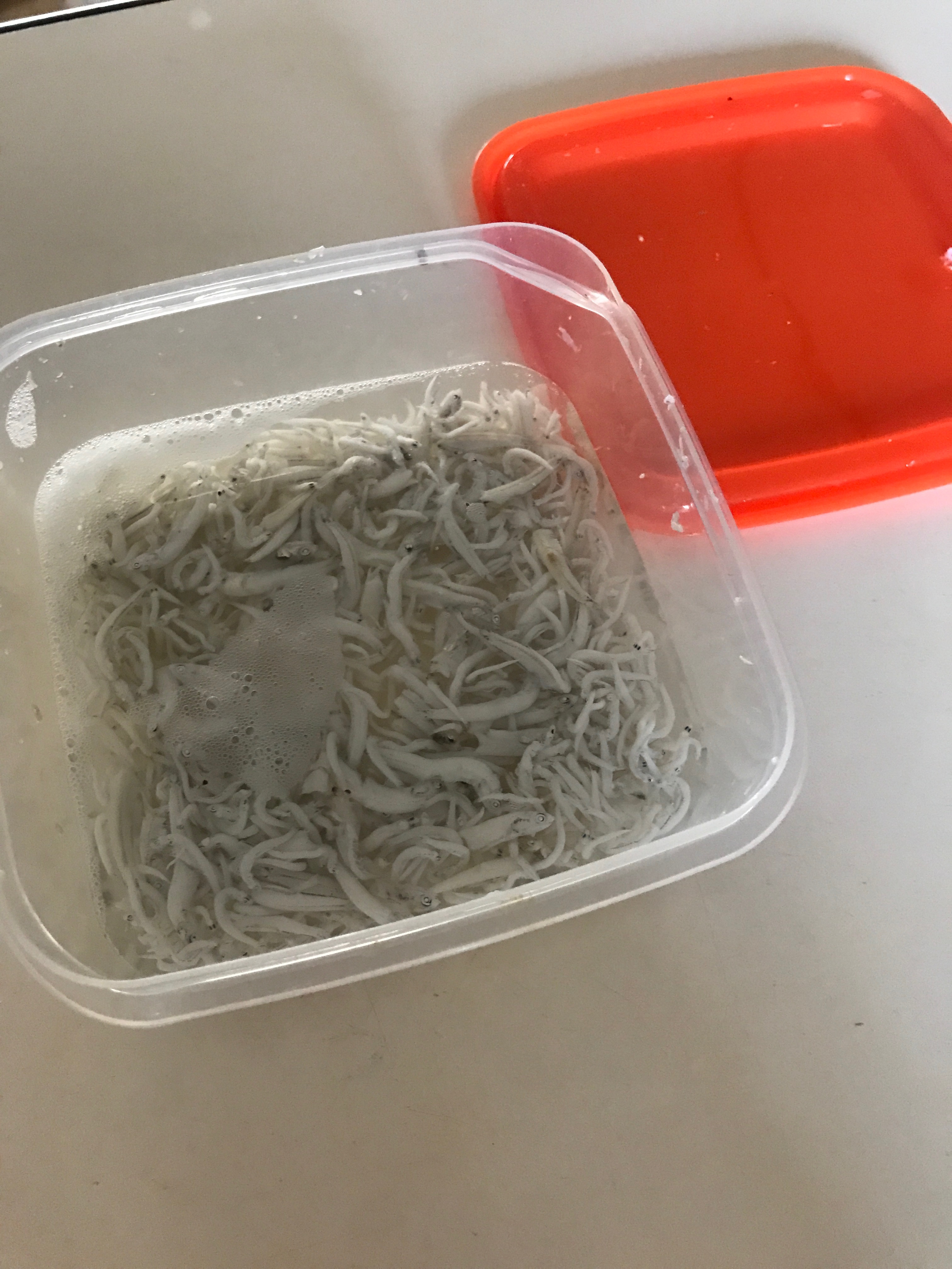 離乳食 初期 21day しらす レシピ 作り方 By Yuuuki08 楽天レシピ 離乳食 初期 21day しらす レシピ 作り方 By Yuuuki08 楽天レシピ