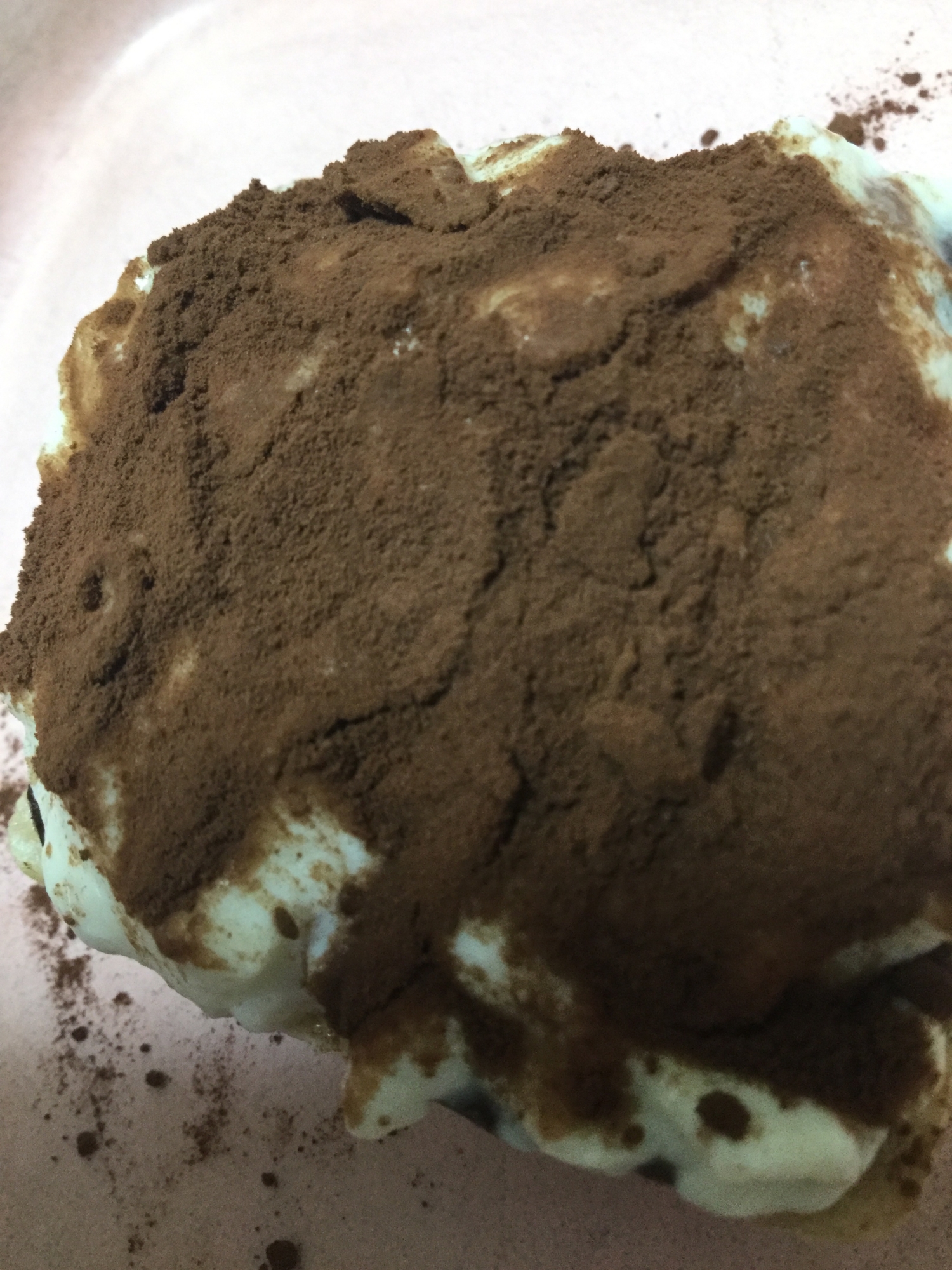お餅と豆乳ヨーグルトの最中ココア風味